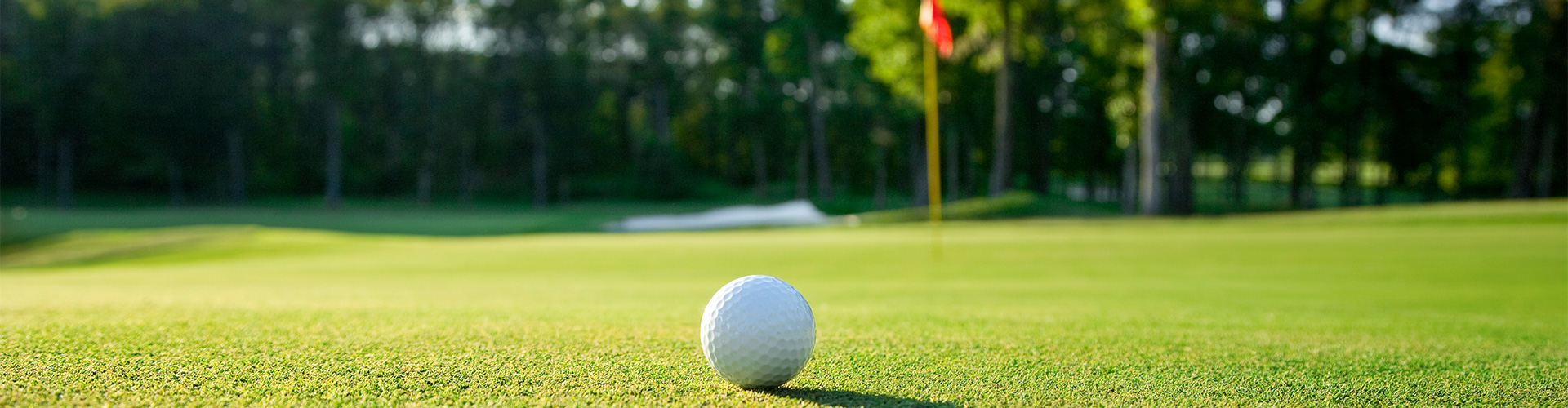 North Texas Golf Course Superintendents Associatio - NTGCSA Bylaws